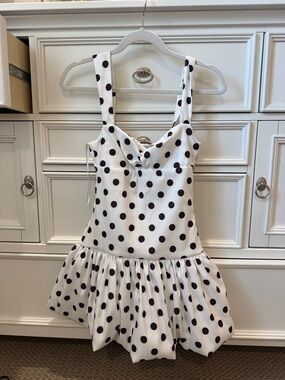 Zara Polka Dot Dress